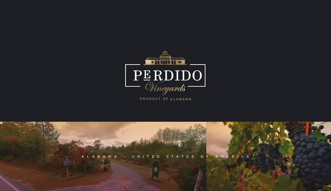 Perdido Vineyards — Logo principal sobre fondo negro con franja de viñedos al pie
