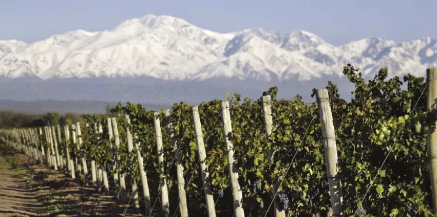 Viñedos de Mendoza con la Cordillera de los Andes al fondo
