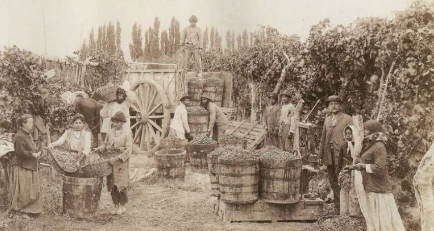 Fotografía de archivo sepia — primeros cosechadores en Mendoza, Bodega Gabrielli